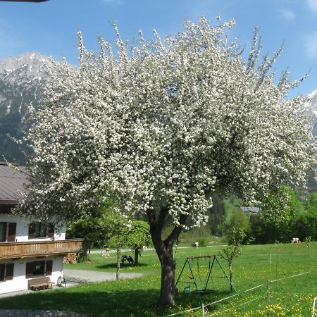 Bauernhof Neu-Endfelden, Guenter Widauer Söll Exterior foto