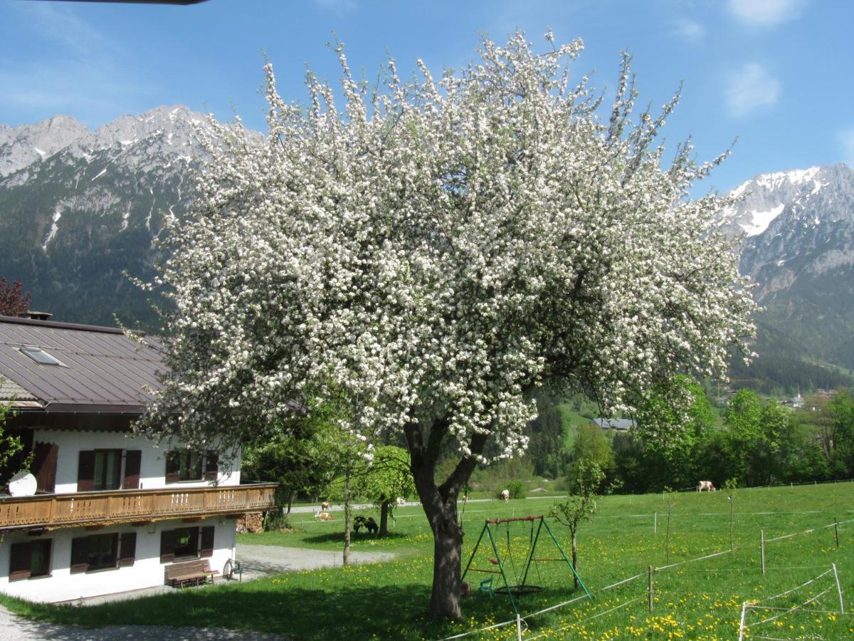 Bauernhof Neu-Endfelden, Guenter Widauer Söll Exterior foto